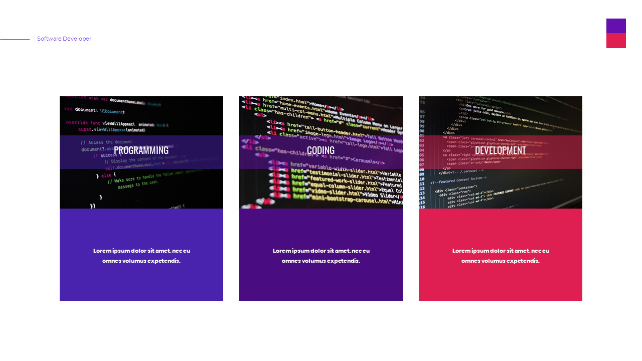 Software Developer Presentation Google Slides Templates