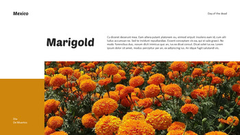 死霊のえじき ベストPPTテンプレート_07