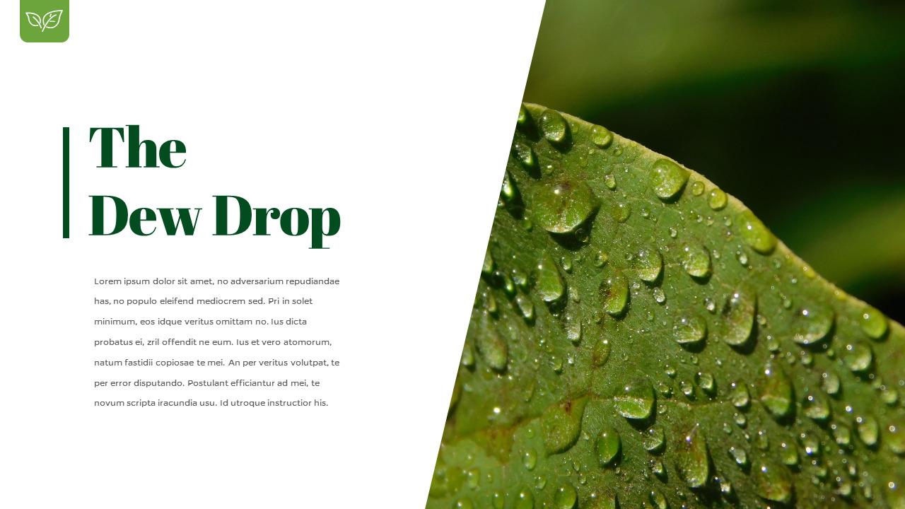 露珠 幻灯片演示文稿_03