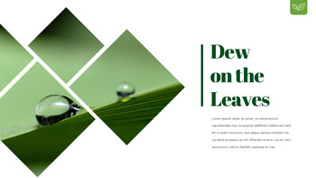 露珠 幻灯片演示文稿_04