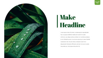 露珠 幻灯片演示文稿_08