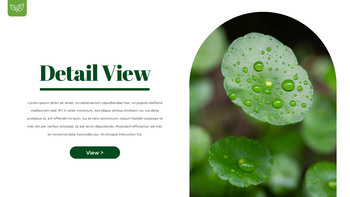 露珠 幻灯片演示文稿_11