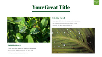 露珠 幻灯片演示文稿_12