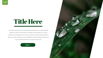 露珠 幻灯片演示文稿_15