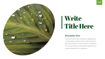 露珠 幻灯片演示文稿_16