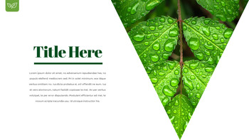 露珠 幻灯片演示文稿_19