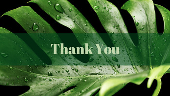 露珠 幻灯片演示文稿_35