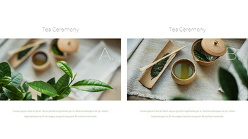 Traditional Tea Product Deck_10