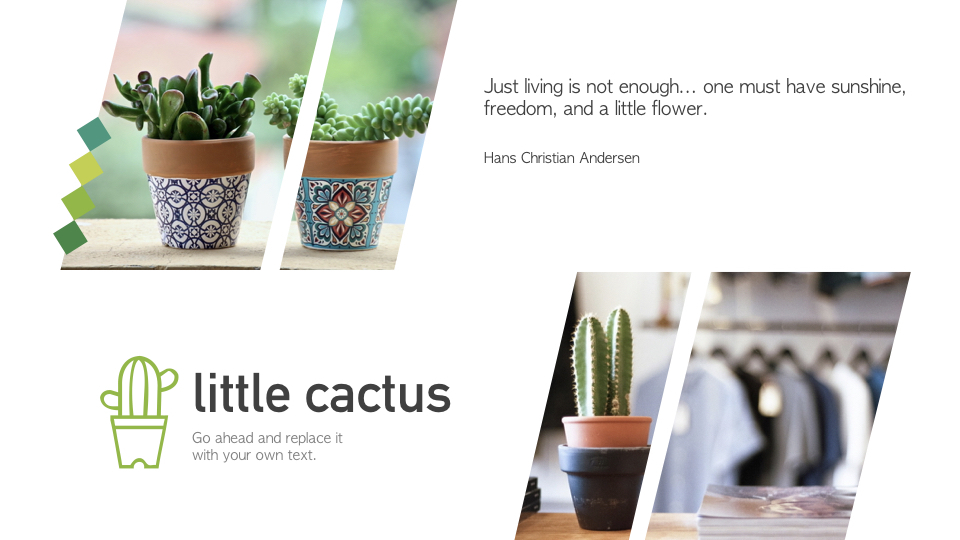Cactus Keynote Presentation Template|Lifestyle