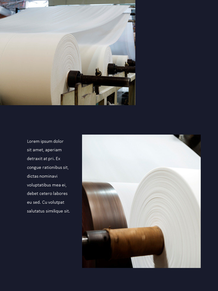 Pulp and Paper Industry Startup PPT Templates