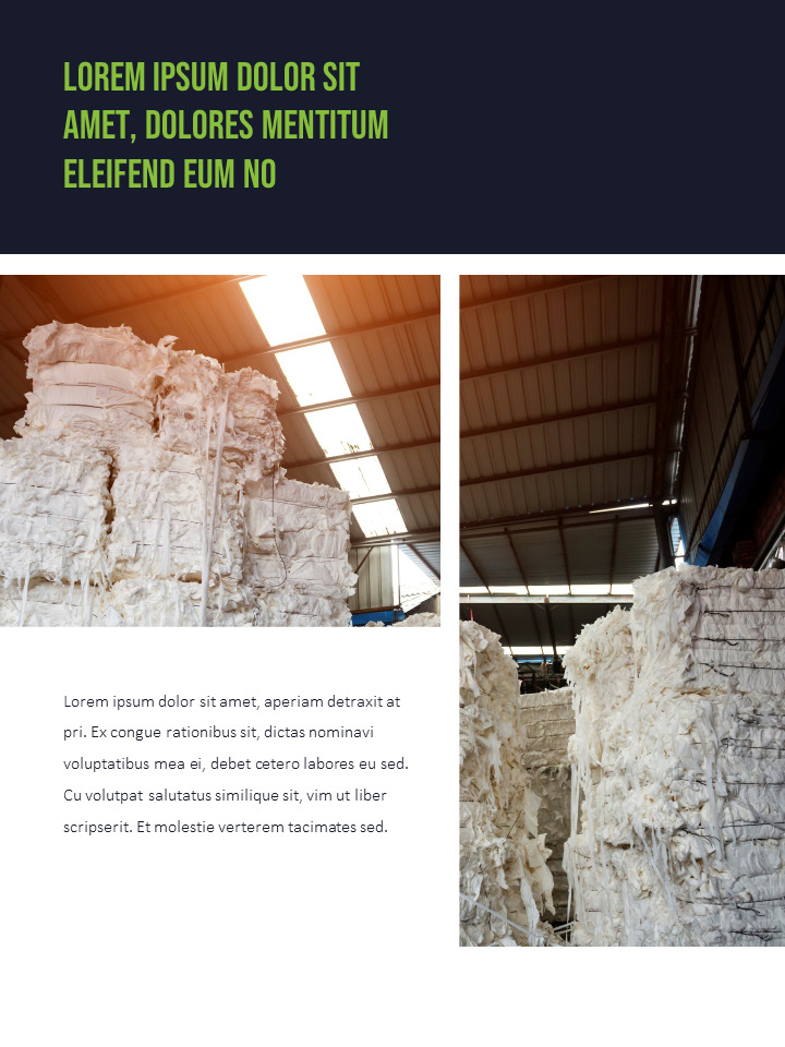 Pulp and Paper Industry Startup PPT Templates