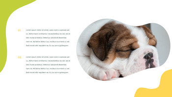 Toutes les races de chiens Google Slides pour mac_16