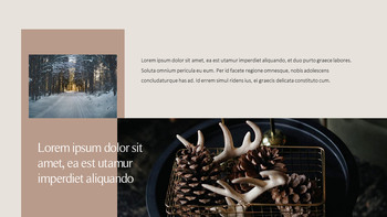 舒适的冬天 PowerPoint演示文稿_20