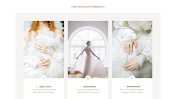 Find Your Dream Wedding Dress Simple Slides Templates_22