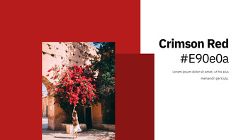 红色的 简单的幻灯片模板_17