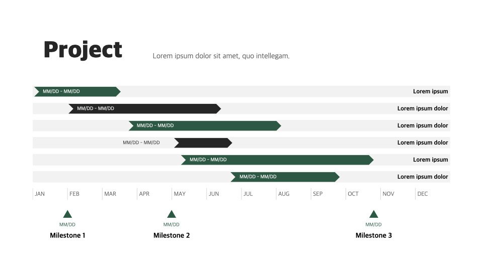 Business Project Minimal slides presentation