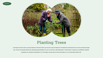 Planting Trees slideshare ppt_14