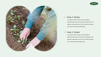 Planter des arbres partage de diapositives ppt_18