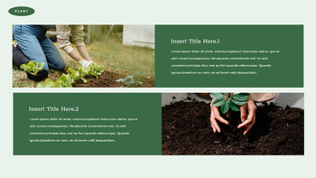 Planting Trees slideshare ppt_22