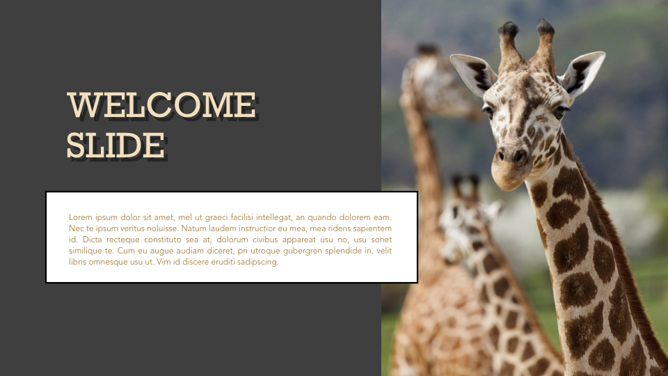 Zoo Multipurpose Presentation Keynote Template