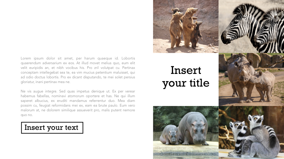Zoo Multipurpose Presentation Keynote Template