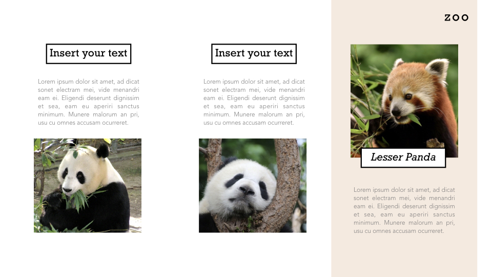 Zoo Multipurpose Presentation Keynote Template