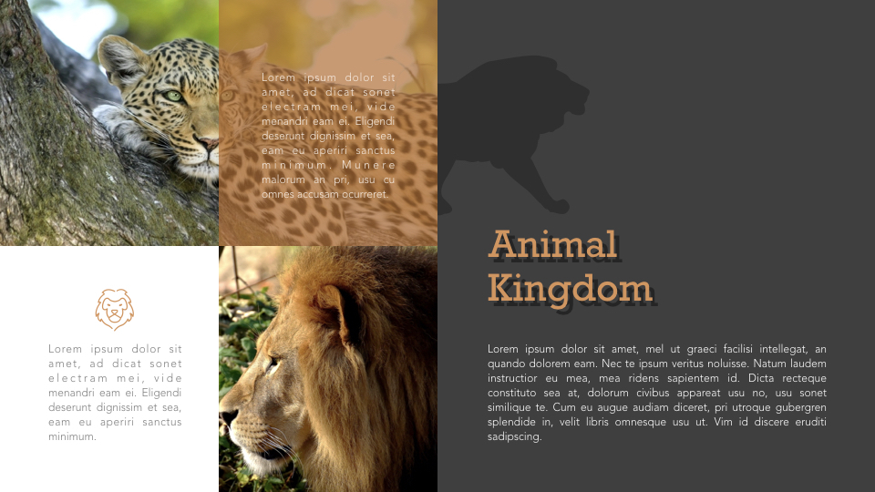 Zoo Multipurpose Presentation Keynote Template
