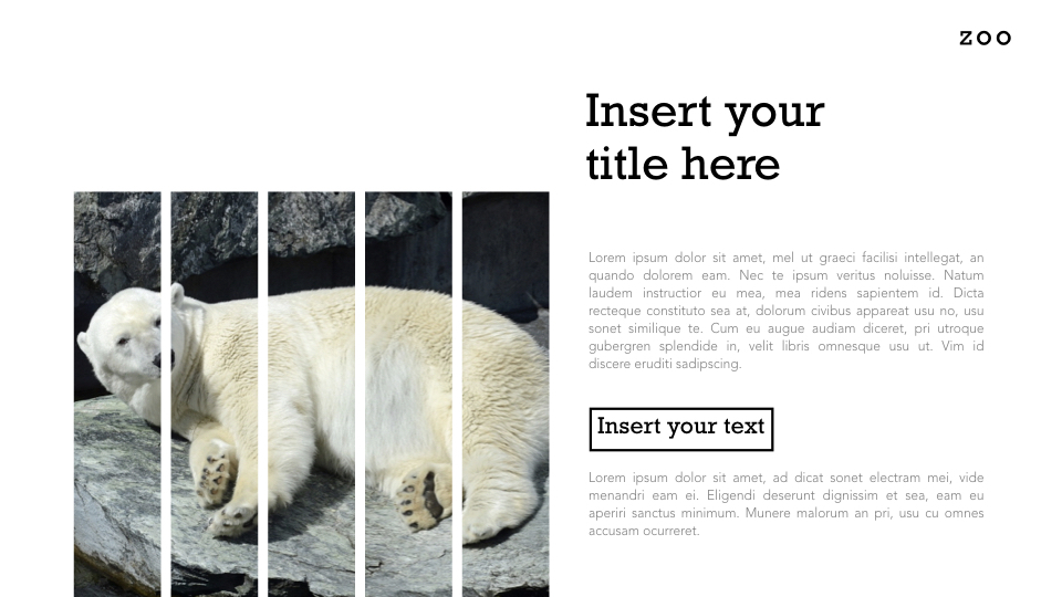 Zoo Multipurpose Presentation Keynote Template