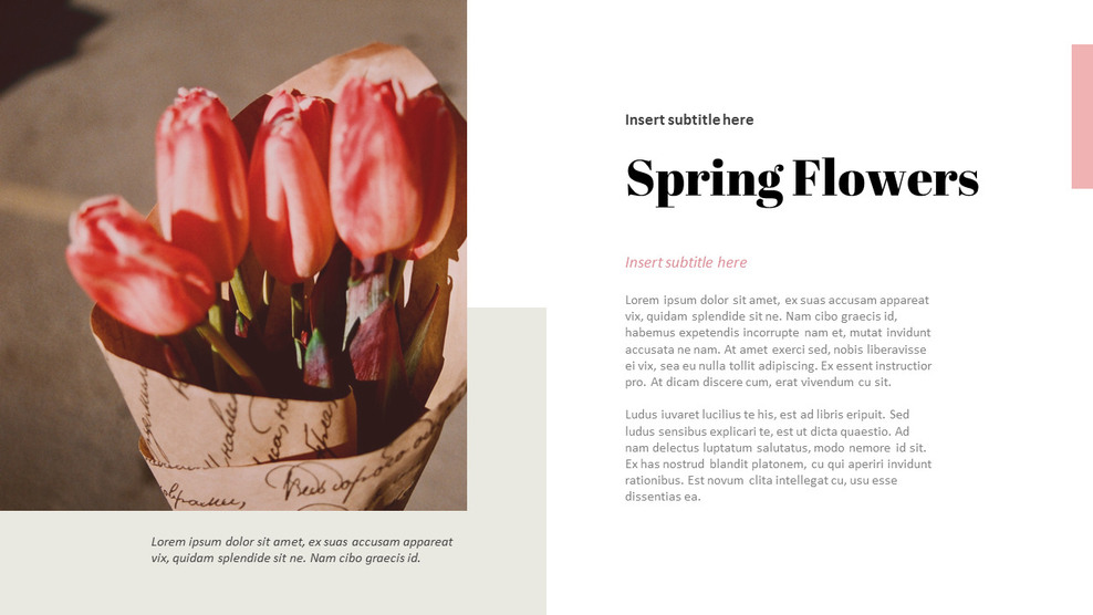 Spring Flower Marketing Presentation PPT|Lifestyle|Templates