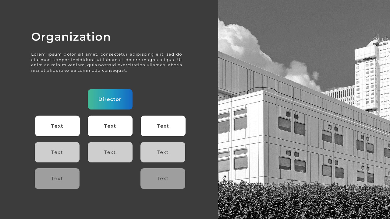 Hospital Introduction PowerPoint Templates