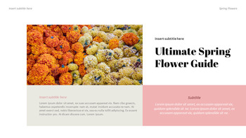 Spring Flower Google Slides Themes_10