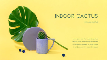 최소한의 선인장 PPT 파워포인트_10