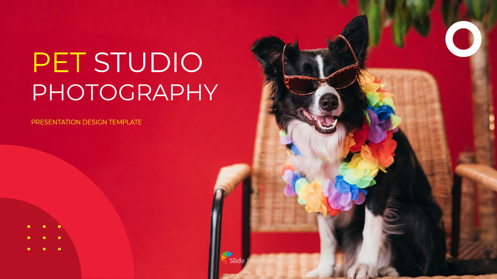 애완 동물 스튜디오 사진 사업 계획 샘플_01