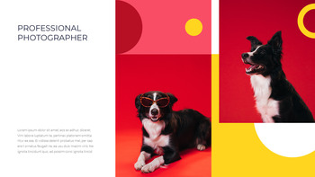 애완 동물 스튜디오 사진 사업 계획 샘플_04