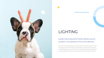 애완 동물 스튜디오 사진 사업 계획 샘플_15