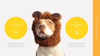 애완 동물 스튜디오 사진 사업 계획 샘플_19