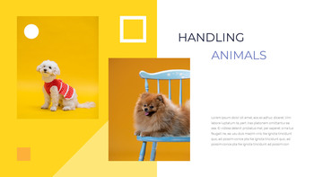 애완 동물 스튜디오 사진 사업 계획 샘플_20