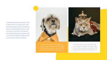 애완 동물 스튜디오 사진 사업 계획 샘플_23