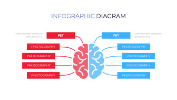 애완 동물 스튜디오 사진 사업 계획 샘플_25