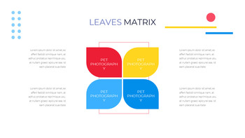 애완 동물 스튜디오 사진 사업 계획 샘플_30