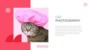 Pet Studio Photography company profile ppt template_09