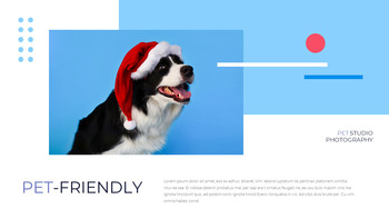 Pet Studio Photography company profile ppt template_12