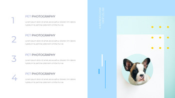 Pet Studio Photography company profile ppt template_16