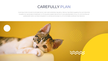 Pet Studio Photography company profile ppt template_18