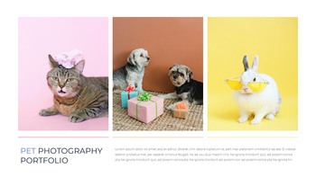 Fotografia in studio per animali domestici Profilo aziendale PPT modello_21