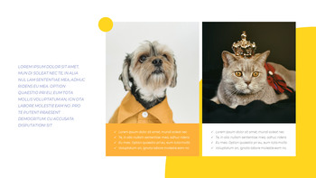 Pet Studio Photography company profile ppt template_23