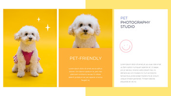 Pet Studio Photography company profile ppt template_24