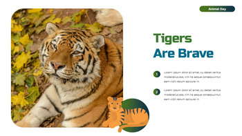 World Animal Day deck templates_05