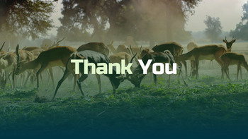 World Animal Day deck templates_35