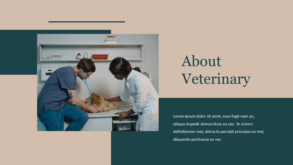 Veterinary Clinic ppt samples|Lifestyle|Templates